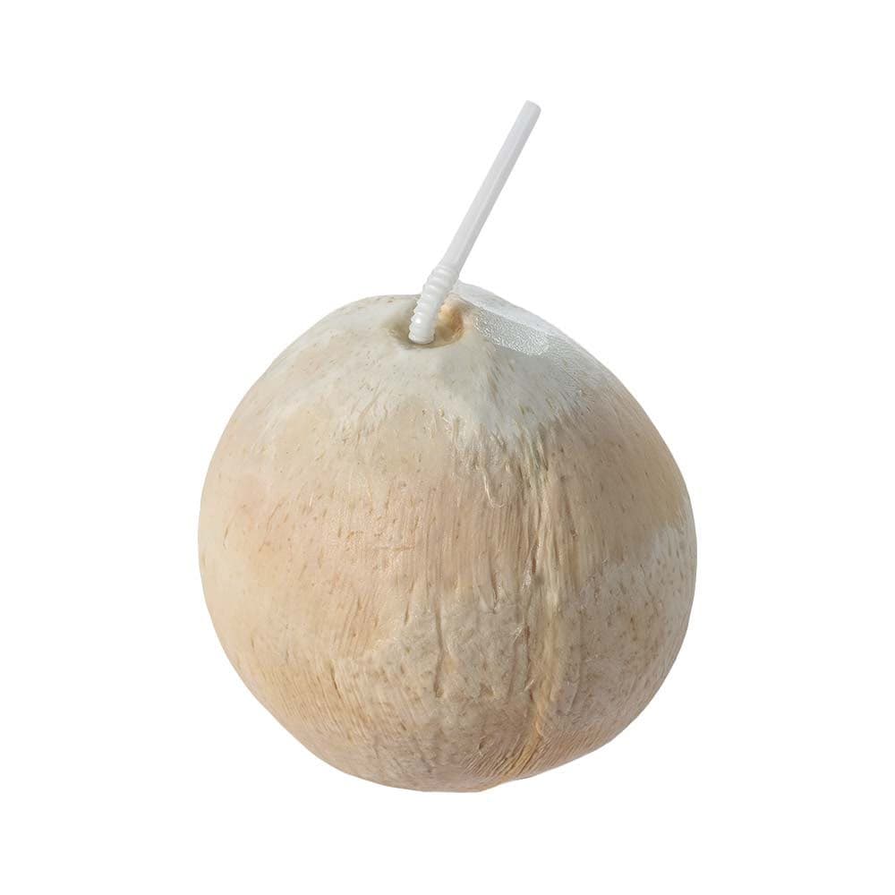 Fully Polished Coconut