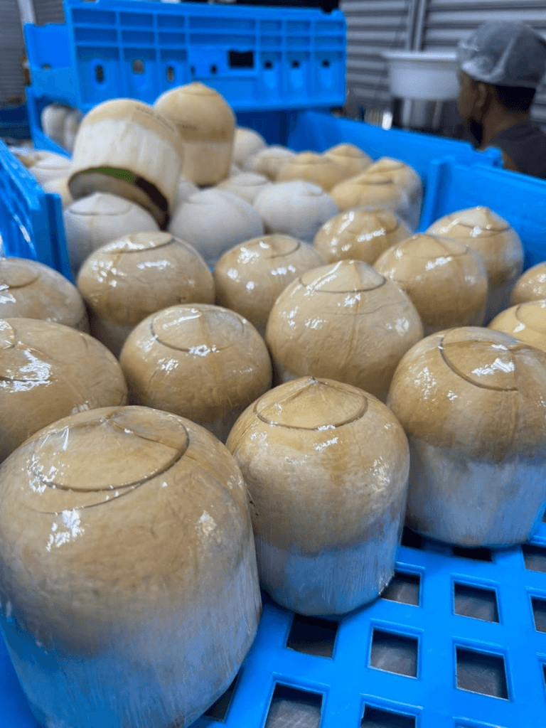 NatureLink coconut preparation