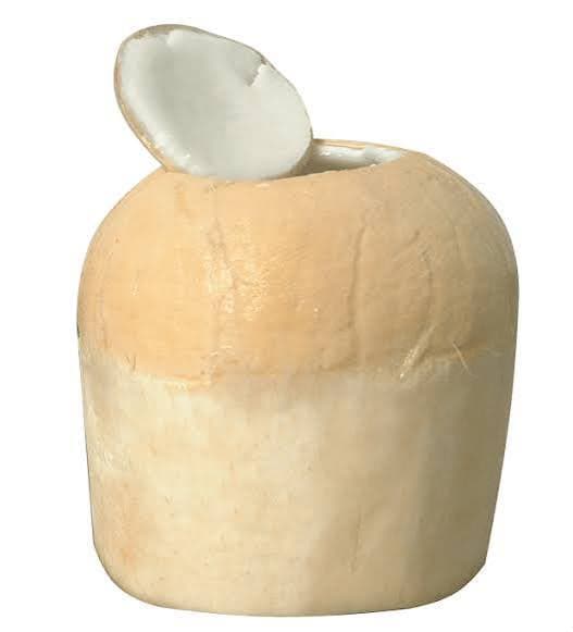 Thai Style Semi-Polished Coconut