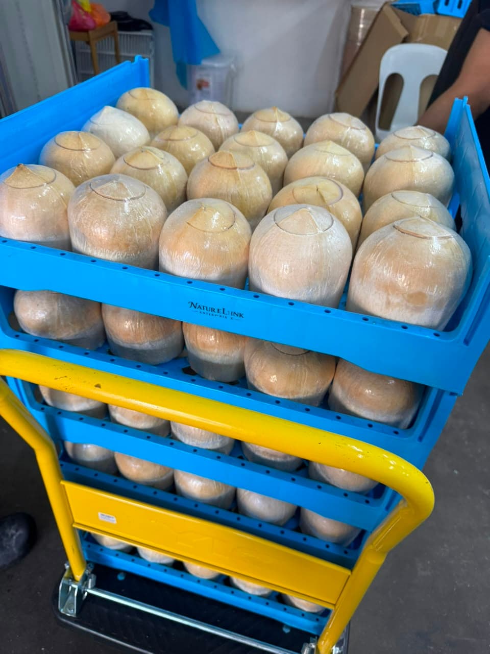 Wholesale coconut handling